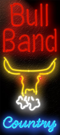Bull Band Banner